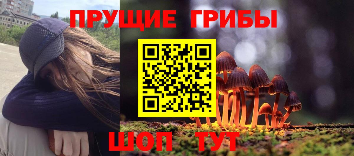 Галлюциногенные грибы Psilocybe  Псилоцибиновые грибы GOLDEN TEACHER  Красноперекопск  Вход с VPN 